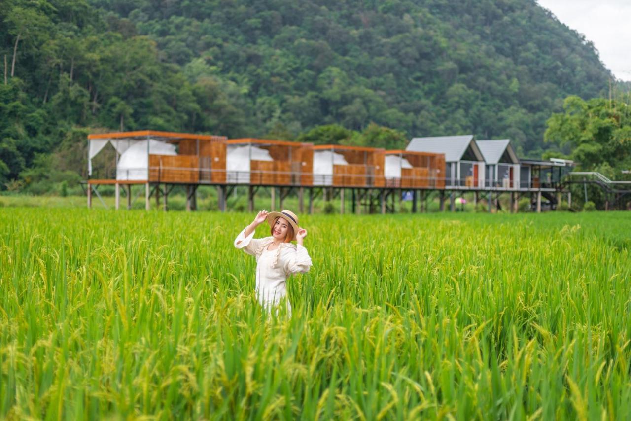 Hotel เนเจอร์วัลเล่ย์แคมป์ ปางมะผ้า Extérieur photo