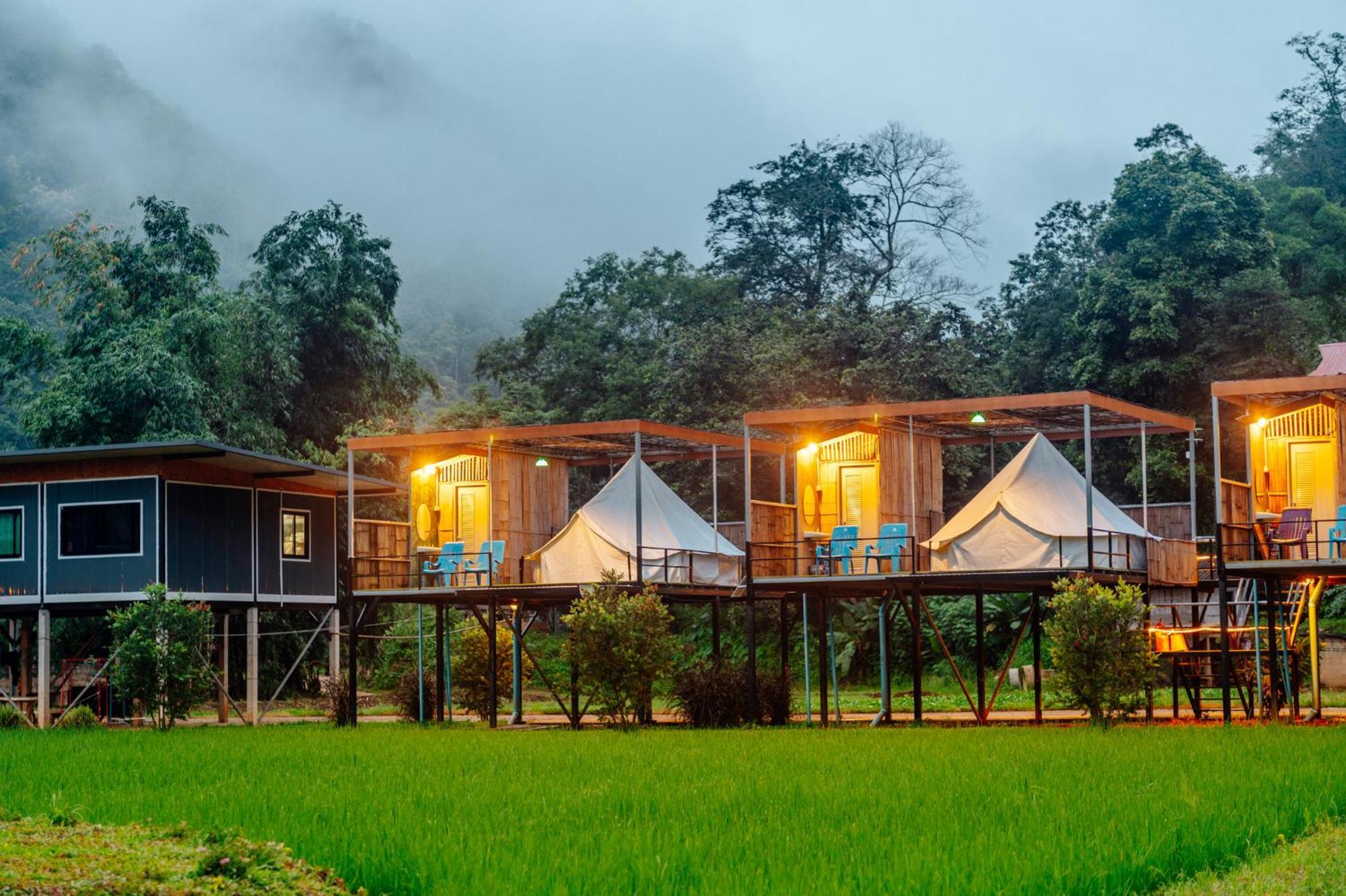 Hotel เนเจอร์วัลเล่ย์แคมป์ ปางมะผ้า Extérieur photo
