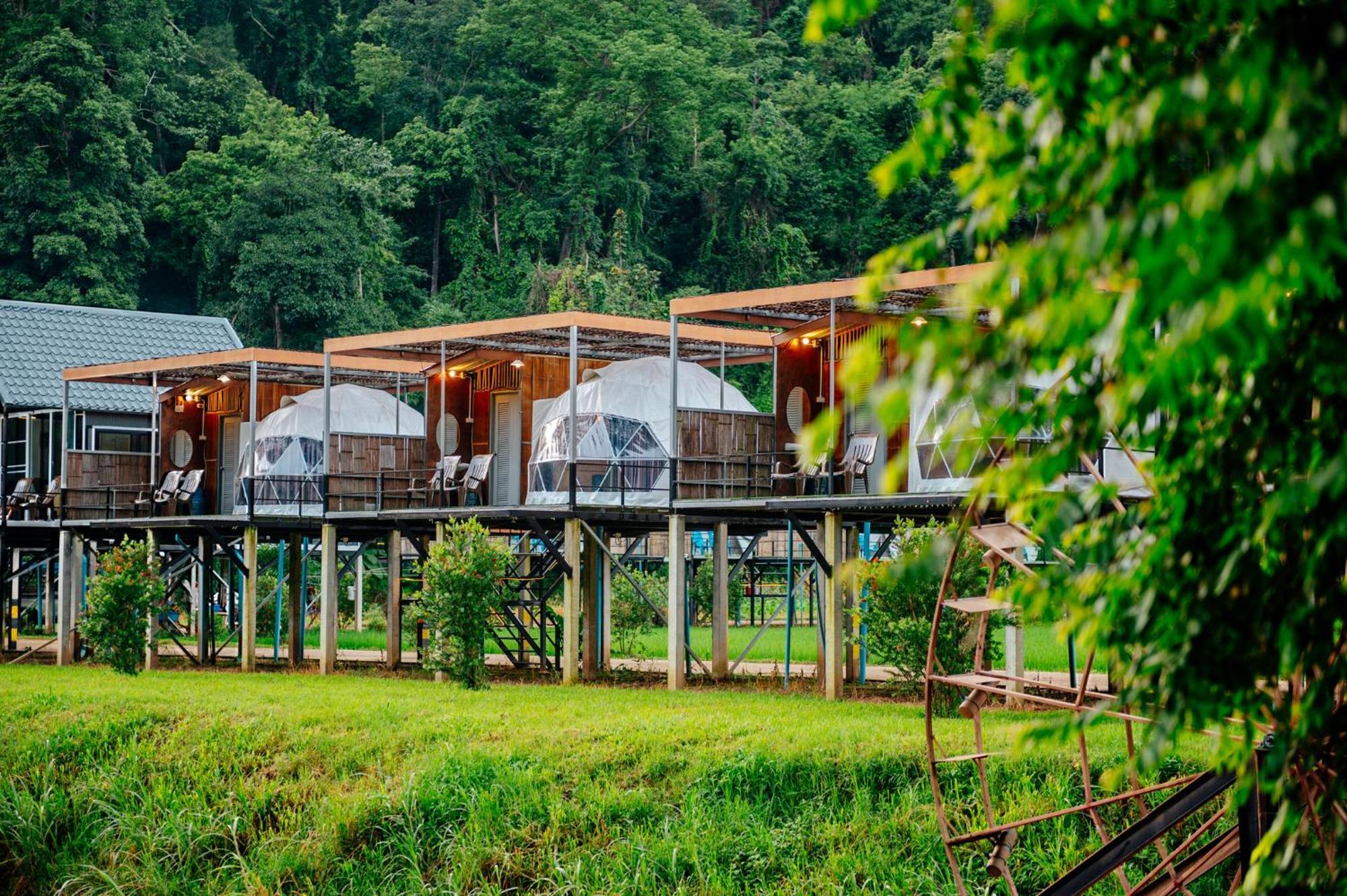 Hotel เนเจอร์วัลเล่ย์แคมป์ ปางมะผ้า Extérieur photo