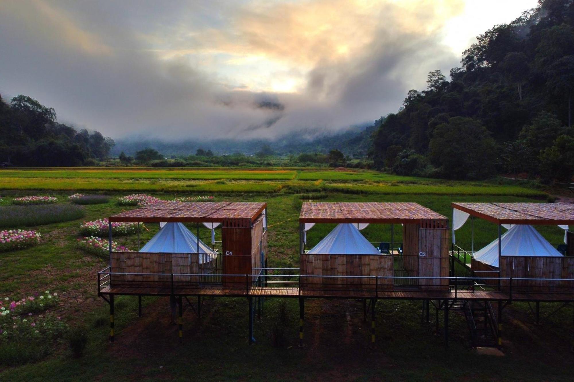 Hotel เนเจอร์วัลเล่ย์แคมป์ ปางมะผ้า Extérieur photo