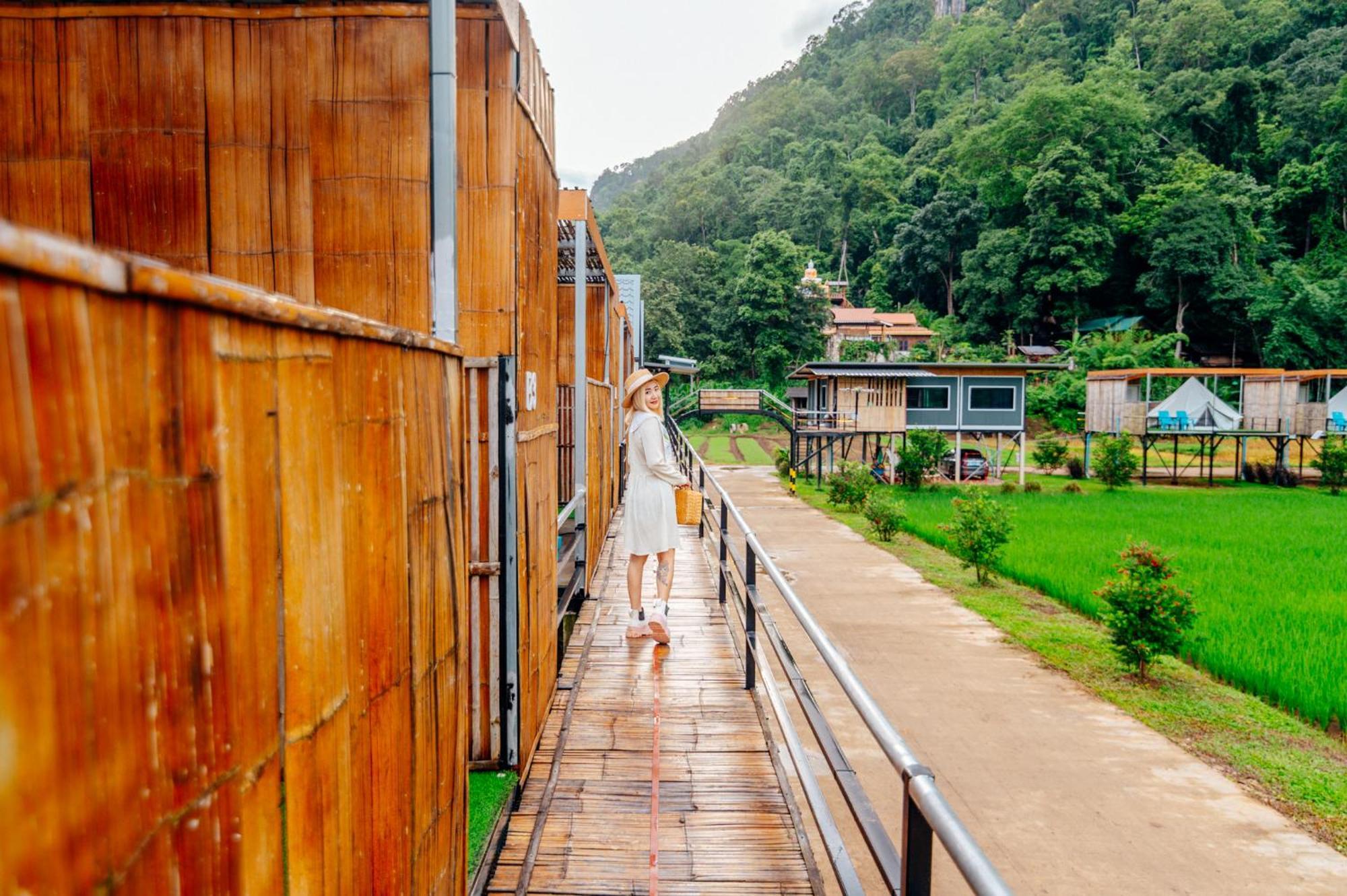 Hotel เนเจอร์วัลเล่ย์แคมป์ ปางมะผ้า Extérieur photo