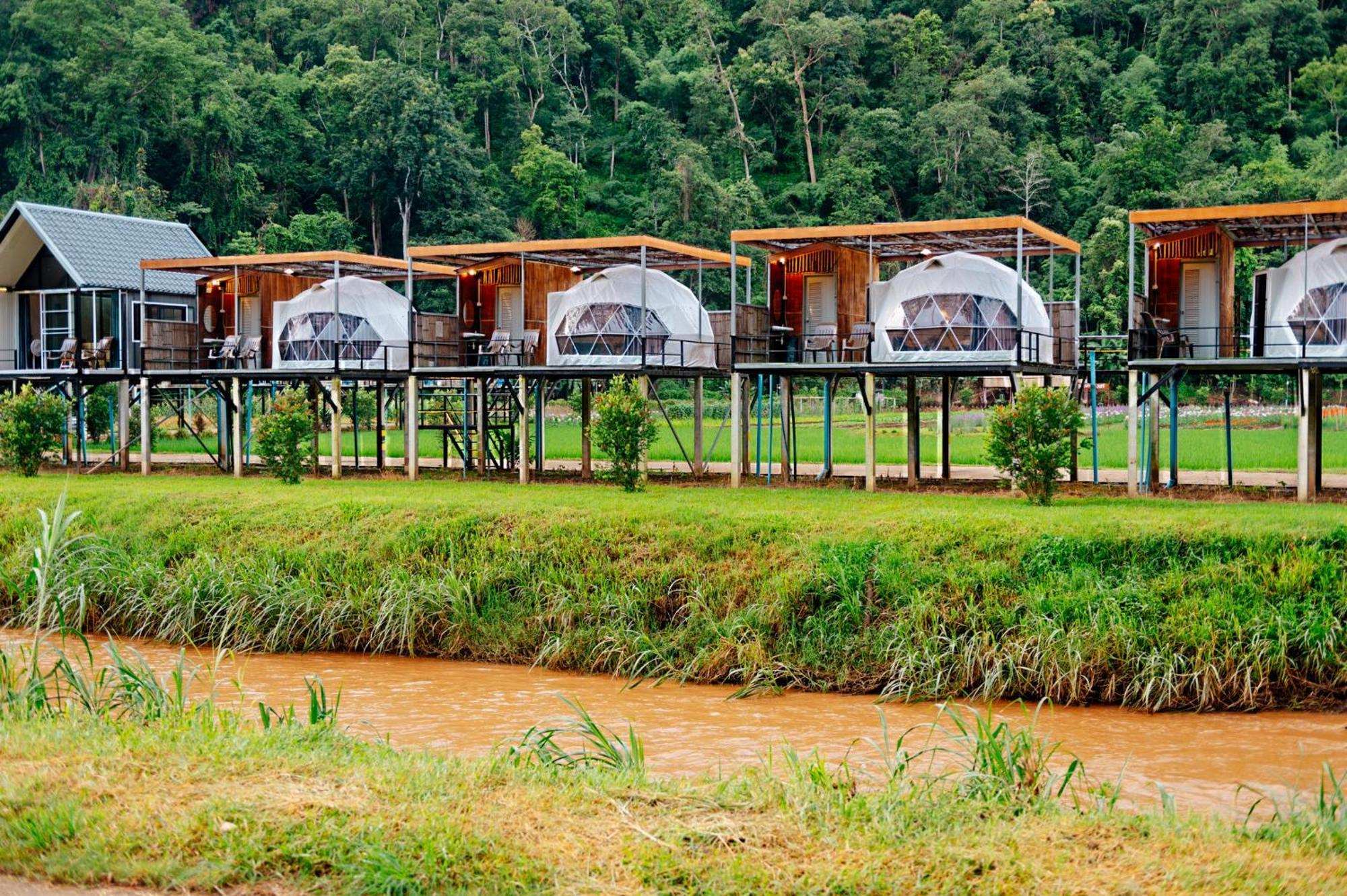 Hotel เนเจอร์วัลเล่ย์แคมป์ ปางมะผ้า Extérieur photo